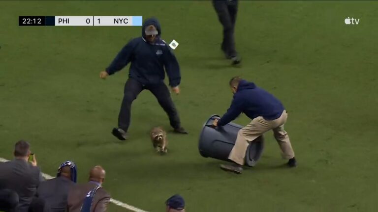 Raccoon caught with trash can after invading pitch during Philadelphia vs. New York match