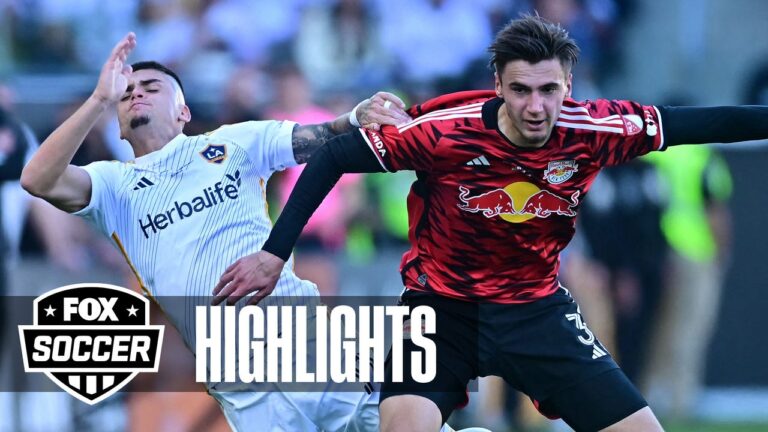 MLS Cup Final: L.A. Galaxy vs. New York Red Bulls highlights